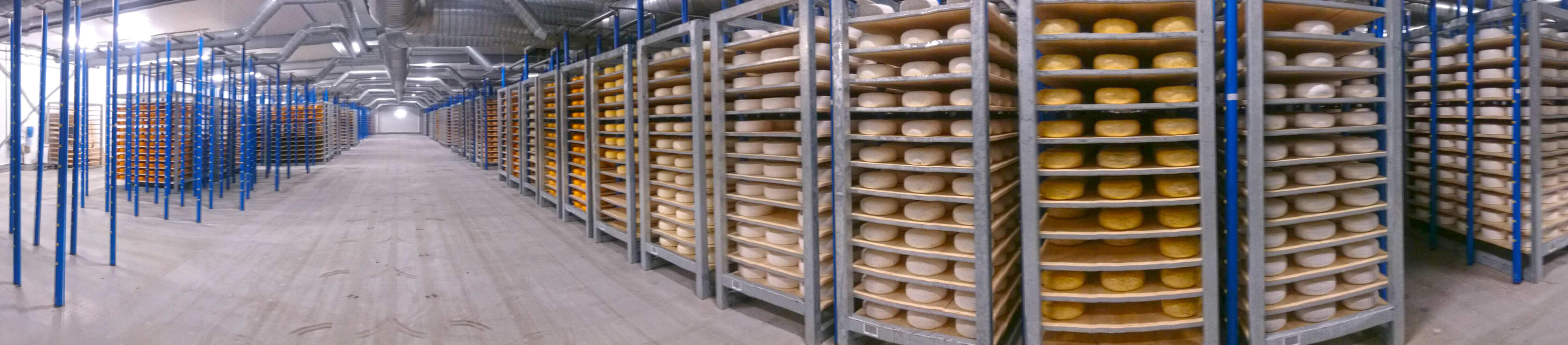 Cheese Converting Machinery  Cheese Converting Equipment